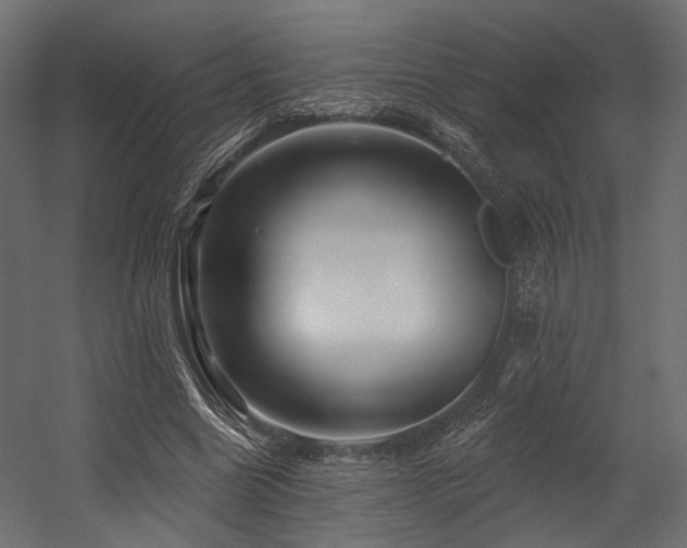 X0000054420538200507291251