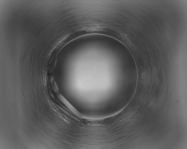 X0000054420539200507291251