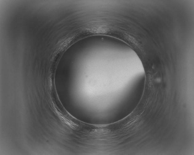 X0000054420541200507291251