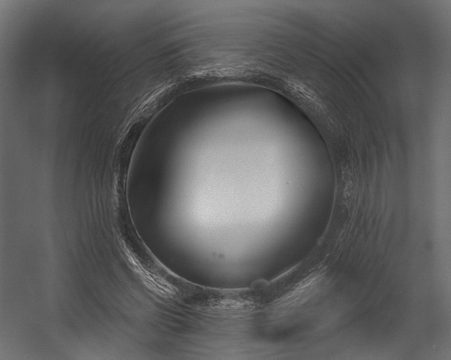 X0000054420542200507291252