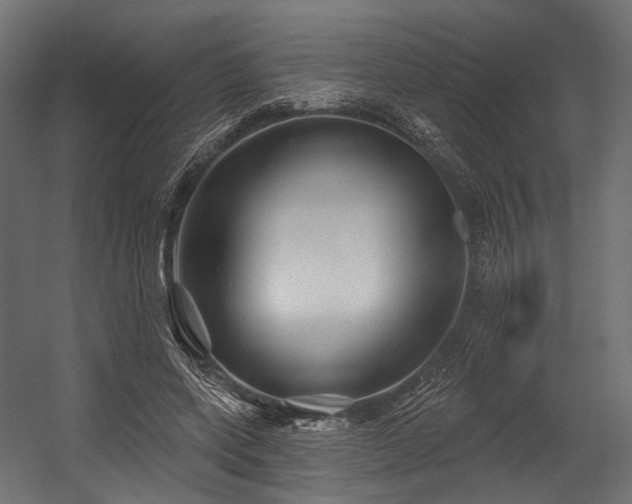 X0000054420543200507291252