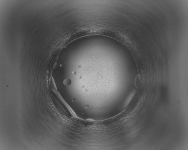 X0000054420545200507291252