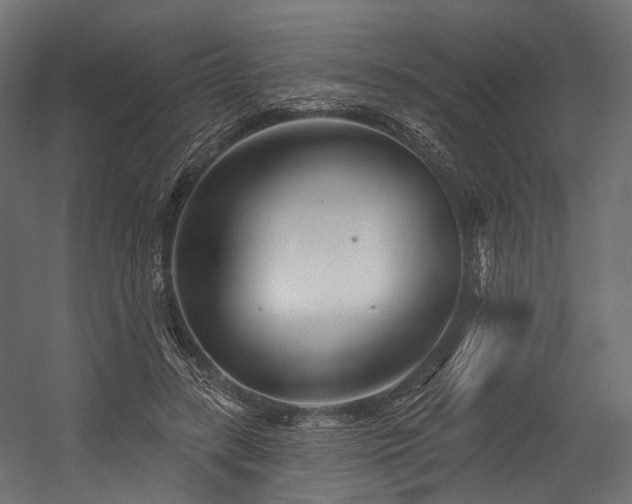 X0000054420547200507291252