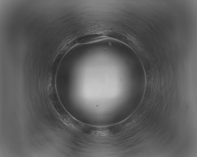 X0000054420548200507291252