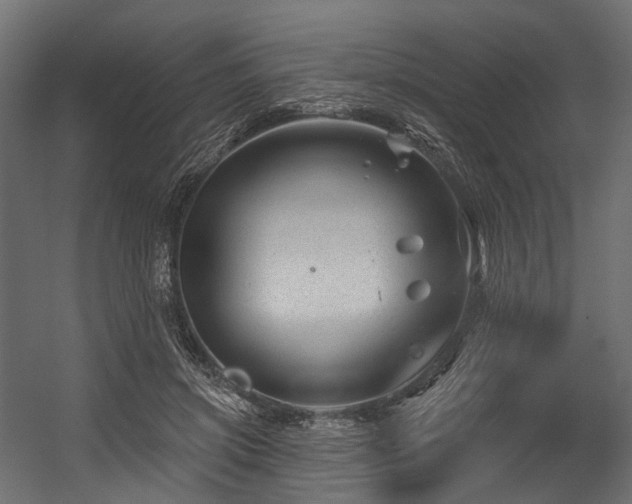 X0000054420549200507291252