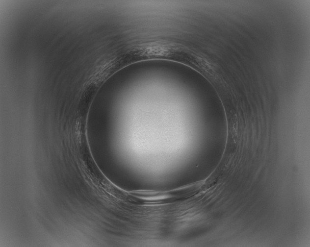 X0000054420551200507291252