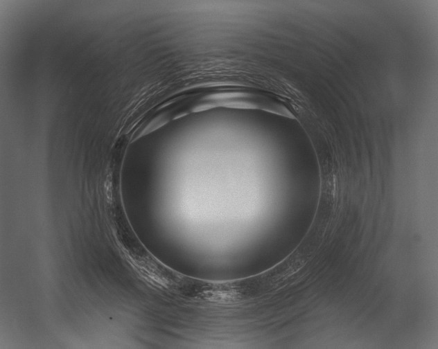 X0000054420552200507291252