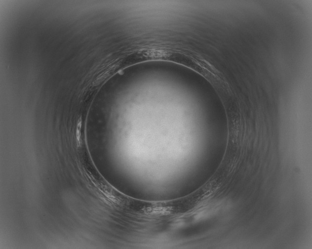 X0000054420553200507291252