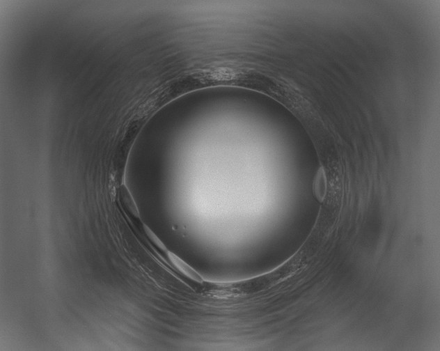 X0000054420555200507291252