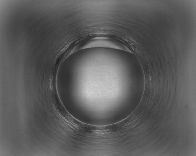 X0000054420556200507291252