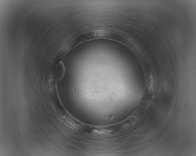 X0000054420557200507291252