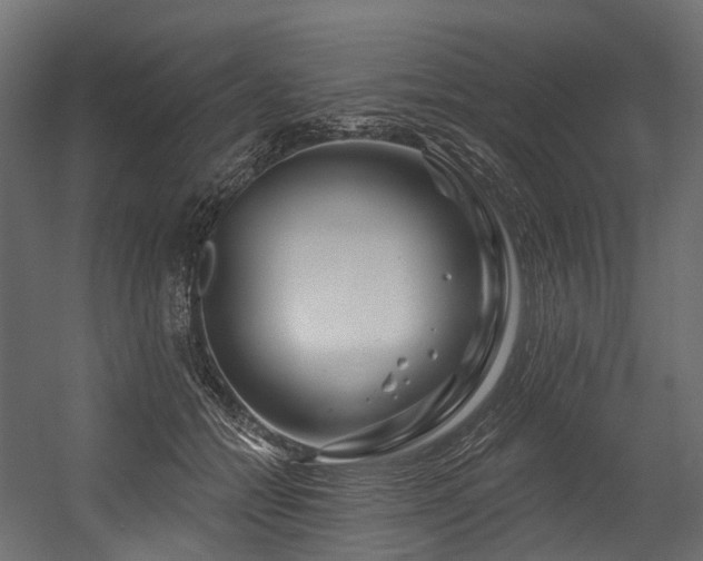 X0000054420558200507291252