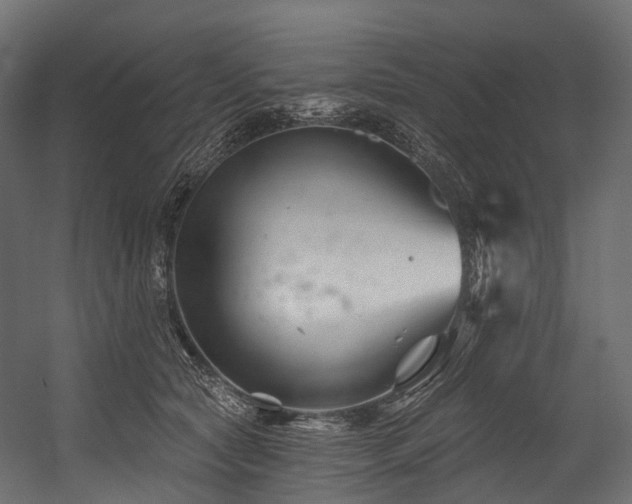 X0000054420561200507291252