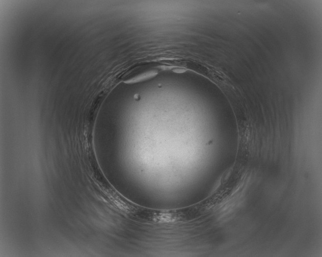 X0000054420565200507291252