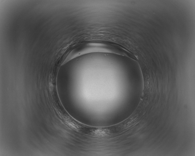 X0000054420566200507291252