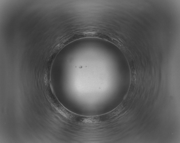 X0000054420568200507291252