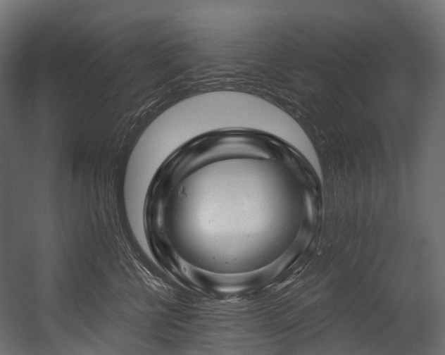 X0000054420570200507291252