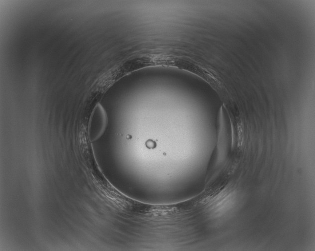 X0000054420571200507291252