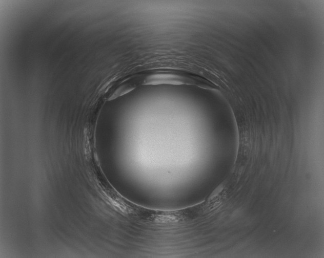 X0000054420572200507291252