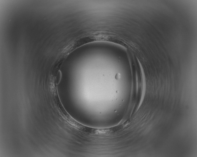 X0000054420573200507291252