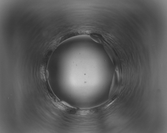 X0000054420575200507291252