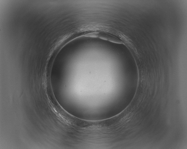 X0000054420578200507291251