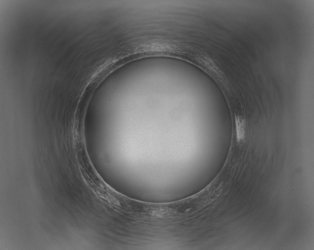 X0000054420579200507291251