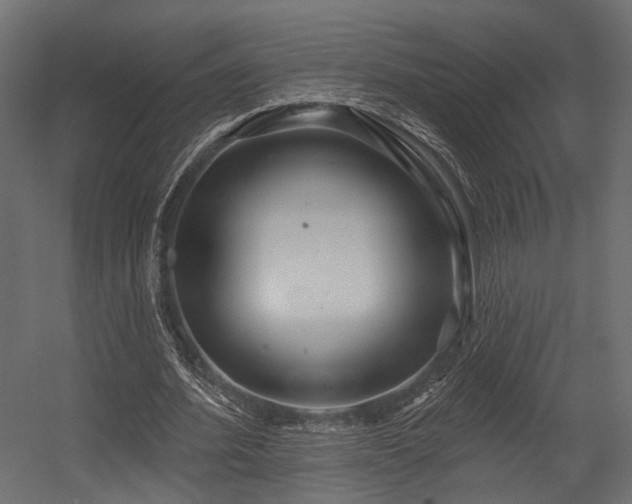 X0000054420580200507291251