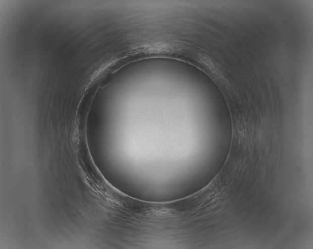 X0000054420583200507291251