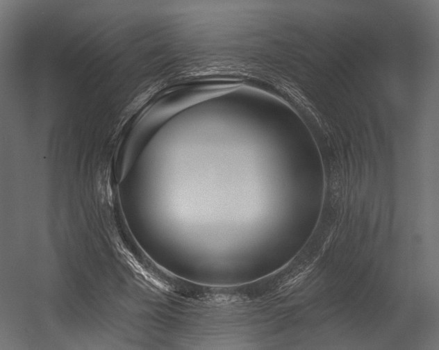 X0000054420585200507291251