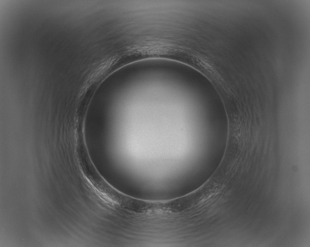 X0000054420586200507291251