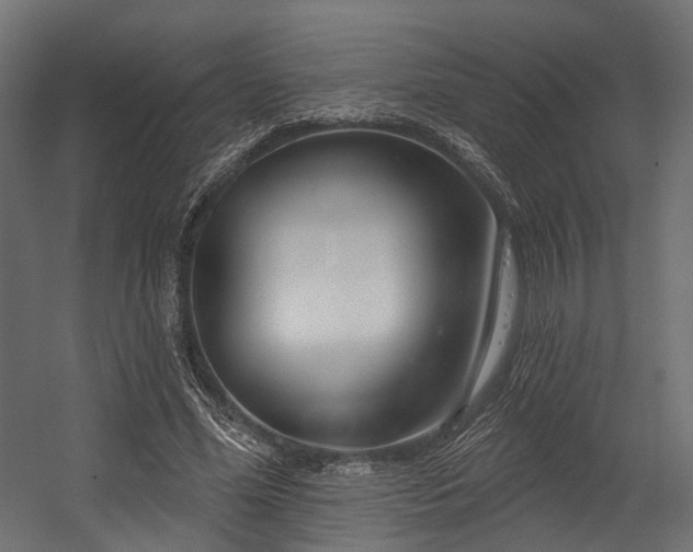 X0000054420588200507291251