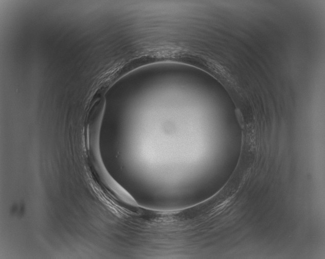 X0000054420589200507291251