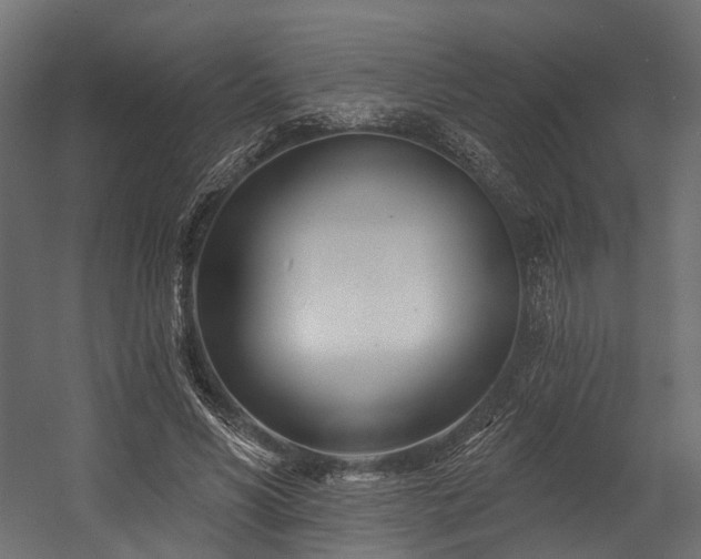 X0000054420590200507291251