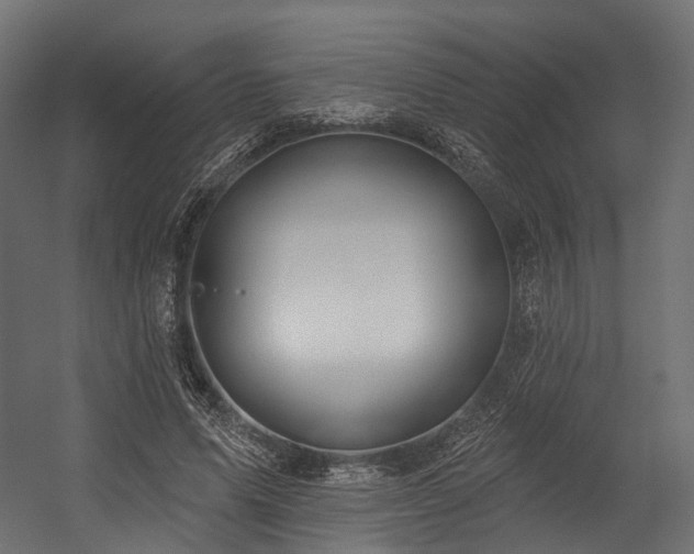 X0000054420591200507291251