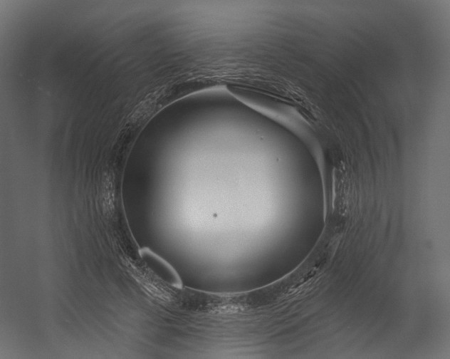 X0000054420593200507291251