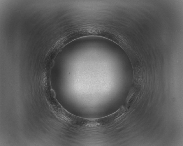 X0000054420595200507291251