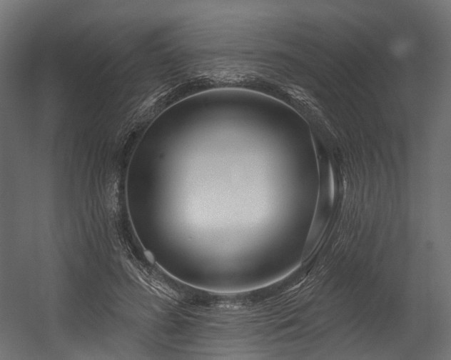 X0000054420596200507291251