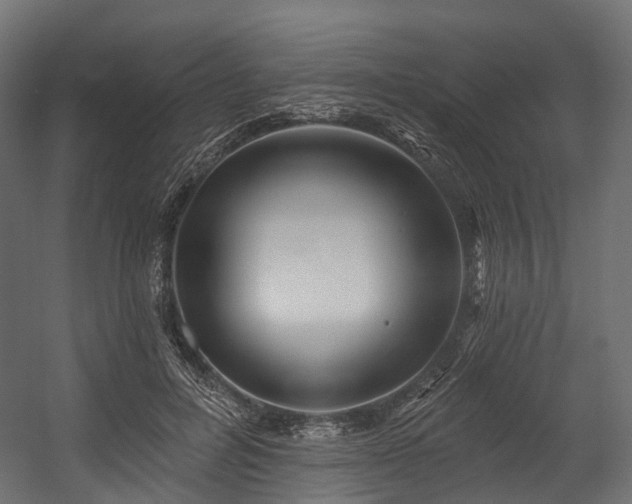 X0000054420600200507291251