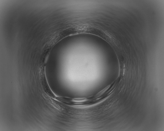 X0000054420601200507291251