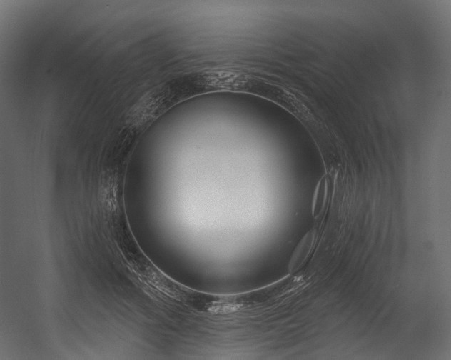 X0000054420602200507291251