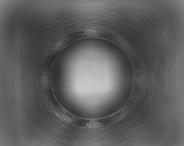 X0000054420603200507291251