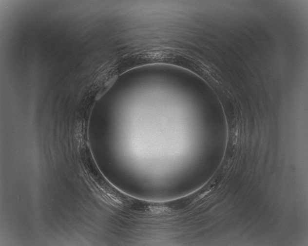 X0000054420605200507291251