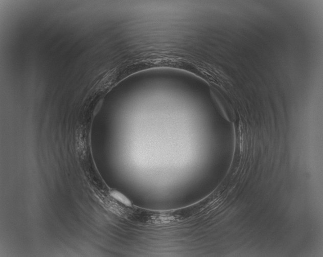 X0000054420607200507291251