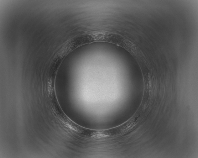 X0000054420610200507291251