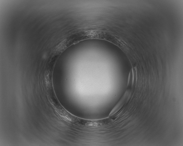 X0000054420611200507291251