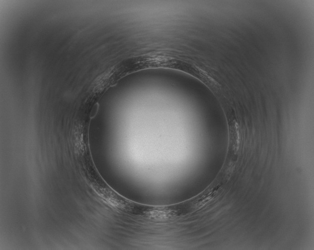 X0000054420615200507291251