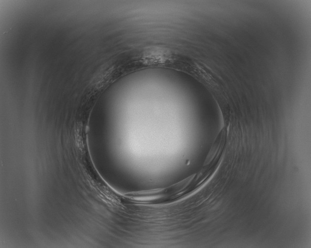 X0000054420616200507291251