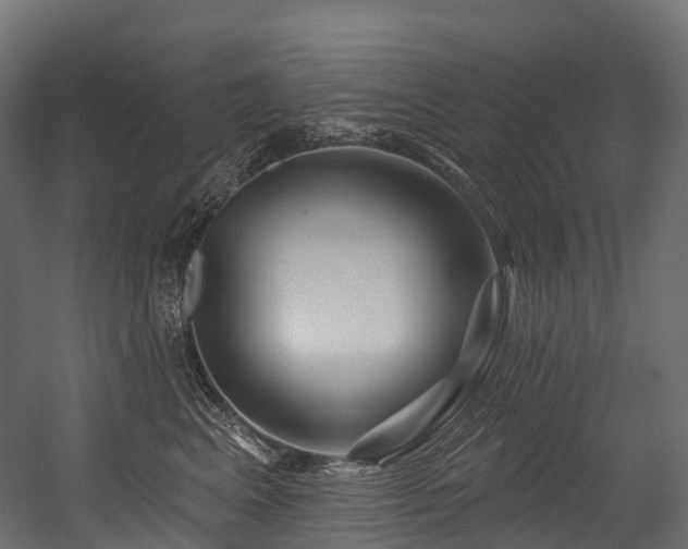 X0000054420617200507291251