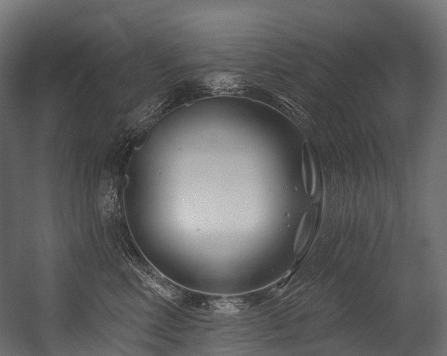 X0000054420618200507291251